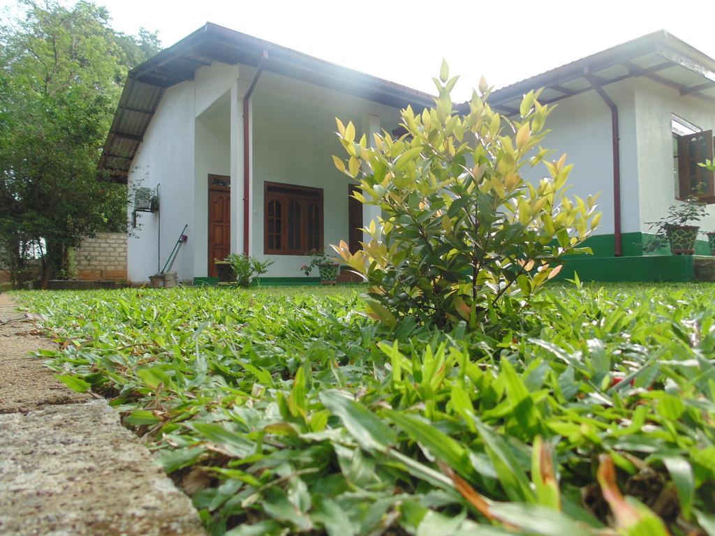 White Eagle Hotel Sigiriya Buitenkant foto