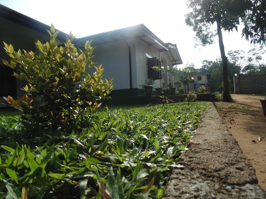 White Eagle Hotel Sigiriya Buitenkant foto